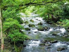 -广州市石门国家森林公园