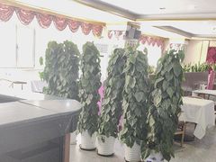 -九头鸟酒家(东高地店)