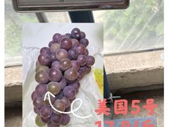 -马陆小张葡萄园农家乐