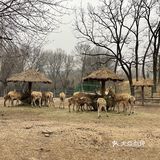30块钱买一上午的快乐[调皮]