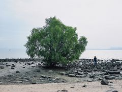 -深圳湾公园(南山区)