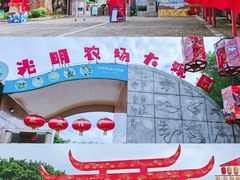 -光明农场大观园
