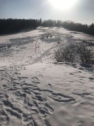 -大秃顶子山