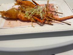-点都德·毕德寮