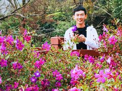 -广州市石门国家森林公园