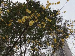 -西安市长乐公园