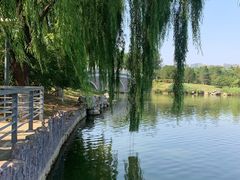 -大兴滨河森林公园