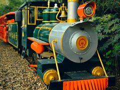 -上海共青森林公园