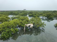 -北海金海湾红树林生态旅游区