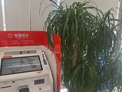 -中信银行(上海五牛城支行)