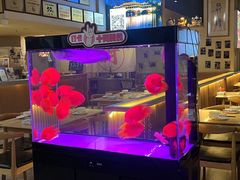 -五丁桥光头香辣蟹(望江橡树林店)