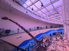 -陕西自然博物馆