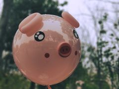 -顾村公园