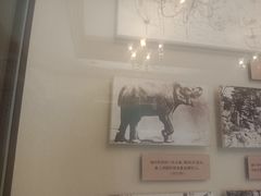 -北京动物园-畅观楼