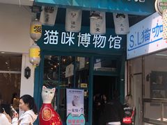 -猫咪博物馆(顶澳仔猫街店)