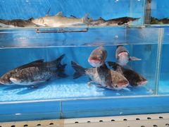 -六顺园清真回族饭店(工程街店)