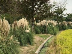 -嘉北郊野公园