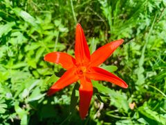 -白草畔自然风景区