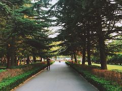 -莱西月湖公园