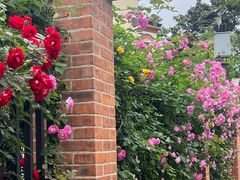 -璐坊粽王(复兴中路店)