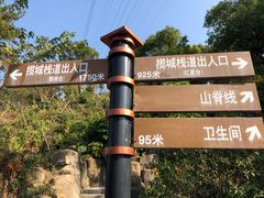 -金鸡山公园