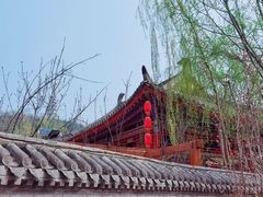 -渭南桃花源民俗文化园