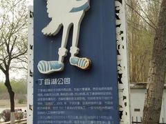 -丁香湖公园