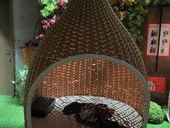 -青水瓦台汤泉(未央店)