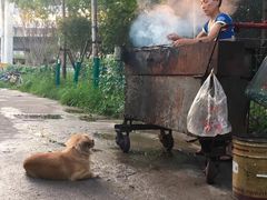 大堂-霍元甲烧烤(江城商务大楼店)