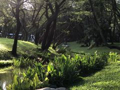 -人民公园(罗湖区)