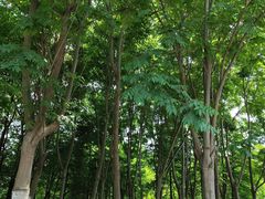 -长田漾湿地公园