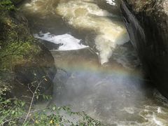 -陕西省红河谷森林公园