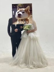 -黑马婚纱摄影