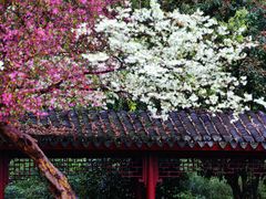 -慈城古县城景区