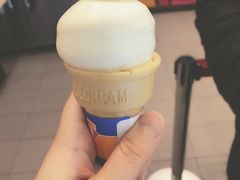 -DQ·蛋糕·冰淇淋(绿宝店)