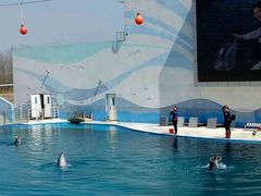 -北戴河圣蓝海洋公园