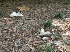 -苏州河梦清园环保主题公园