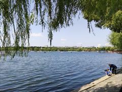 -长春市南湖公园