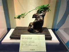 -台北101