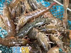 -北戴河庆山饭店·海鲜砂锅粥(北戴河黑石路店)