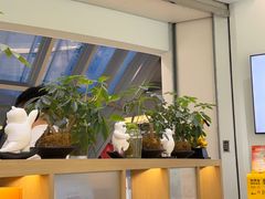 -长风拨筋养身(金虹桥店)