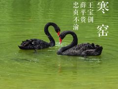 -西安曲江寒窑遗址公园
