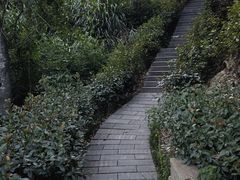 -白鹿洞书院