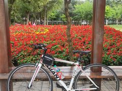 -艾溪湖湿地公园