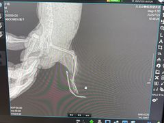 -瑞派·关忠动物医院·异宠专科·犬猫肿瘤·皮肤专科(望京店)