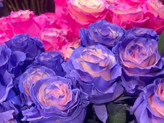 -ROSEONLY诺誓(广州K11店)