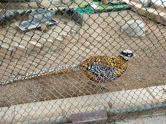 -陕西自然博物馆