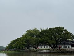 -江心屿景区
