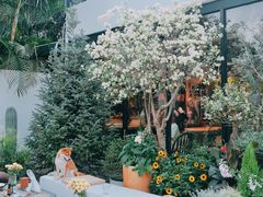 -自由生长植物工作室(深港花卉中心店)