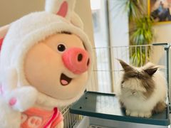 -小意思咖啡店(草桥店)